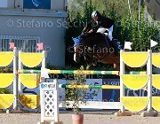 Muchetti Campala Giovanili2013  S5 5320 : Arezzo Equestrian Centre, Campala, Muchetti Edoardo, foto di Stefano Secchi ©. Campionati Italiani Giovanili 2013