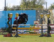 Peracino Star Giovanili2013  S5 4468 : Arezzo Equestrian Centre, Ballymerrigan Star, Peracino Ludovica, foto di Stefano Secchi ©. Campionati Italiani Giovanili 2013