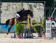 Pieraccini Ballino Giovanili2013  S5 5543 : Arezzo Equestrian Centre, Ballino, Pieraccini Neri, foto di Stefano Secchi ©. Campionati Italiani Giovanili 2013