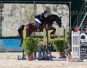 Pieraccini Ballino Giovanili2013  S5 5544 : Arezzo Equestrian Centre, Ballino, Pieraccini Neri, foto di Stefano Secchi ©. Campionati Italiani Giovanili 2013