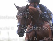 Polesello Caelum Giovanili2013  S5 5026 : Arezzo Equestrian Centre, Caelum, Polesello Luigi, foto di Stefano Secchi ©. Campionati Italiani Giovanili 2013