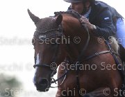 Polesello Caelum Giovanili2013  S5 5027 : Arezzo Equestrian Centre, Caelum, Polesello Luigi, foto di Stefano Secchi ©. Campionati Italiani Giovanili 2013
