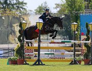 Previtali Quintus Giovanili2013  S5 4537 : Arezzo Equestrian Centre, Previtali Michele, Quintus, foto di Stefano Secchi ©. Campionati Italiani Giovanili 2013