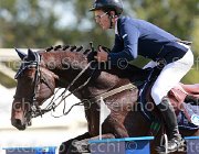 Previtali Quintus Giovanili2013  S5 4540 : Arezzo Equestrian Centre, Previtali Michele, Quintus, foto di Stefano Secchi ©. Campionati Italiani Giovanili 2013