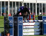 Previtali Varon Giovanili2013  S5 5121 : Arezzo Equestrian Centre, Previtali Roberto, Varon, foto di Stefano Secchi ©. Campionati Italiani Giovanili 2013