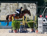 Privitera Pensiero Giovanili2013  S5 5469 : Arezzo Equestrian Centre, Pensiero, Privitera Ludovica, foto di Stefano Secchi ©. Campionati Italiani Giovanili 2013