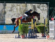 Raimondi T Giovanili2013  S5 5451 : Arezzo Equestrian Centre, Raimondi Giovanni, T, foto di Stefano Secchi ©. Campionati Italiani Giovanili 2013