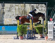 Raimondi T Giovanili2013  S5 5452 : Arezzo Equestrian Centre, Raimondi Giovanni, T, foto di Stefano Secchi ©. Campionati Italiani Giovanili 2013