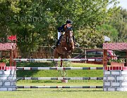 Rizzardi Jalna Giovanili2013  S5 4573 : Arezzo Equestrian Centre, Jalna, Rizzardi Penaloza Vittoria, foto di Stefano Secchi ©. Campionati Italiani Giovanili 2013