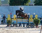 Rizzardi Villeroy Giovanili2013  S5 5277 : Arezzo Equestrian Centre, Rizzardi Penaloza Vittoria, Villeroy, foto di Stefano Secchi ©. Campionati Italiani Giovanili 2013