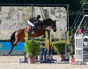 Rizzardi Villeroy Giovanili2013  S5 5433 : Arezzo Equestrian Centre, Rizzardi Penaloza Vittoria, Villeroy, foto di Stefano Secchi ©. Campionati Italiani Giovanili 2013