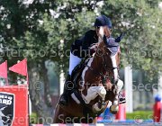 Robotti Cruz Giovanili2013  S5 4523 : Arezzo Equestrian Centre, Cruz on Bob, Robotti Sofia, foto di Stefano Secchi ©. Campionati Italiani Giovanili 2013