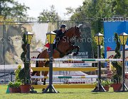 Schena Rodriquez Giovanili2013  S5 4942 : Arezzo Equestrian Centre, Rodriquez, Schena Luca, foto di Stefano Secchi ©. Campionati Italiani Giovanili 2013