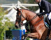 Schena Rodriquez Giovanili2013  S5 4945 : Arezzo Equestrian Centre, Rodriquez, Schena Luca, foto di Stefano Secchi ©. Campionati Italiani Giovanili 2013