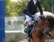 Schena Rodriquez Giovanili2013  S5 4950 : Arezzo Equestrian Centre, Rodriquez, Schena Luca, foto di Stefano Secchi ©. Campionati Italiani Giovanili 2013