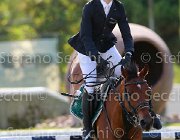 Schena Rodriquez Giovanili2013  S5 4951 : Arezzo Equestrian Centre, Rodriquez, Schena Luca, foto di Stefano Secchi ©. Campionati Italiani Giovanili 2013