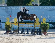 Sciacca Webster Giovanili2013  S5 5271 : Arezzo Equestrian Centre, Sciacca Lorenzo, Webster, foto di Stefano Secchi ©. Campionati Italiani Giovanili 2013