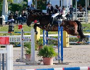 Sciacca Webster Giovanili2013  S5 5273 : Arezzo Equestrian Centre, Sciacca Lorenzo, Webster, foto di Stefano Secchi ©. Campionati Italiani Giovanili 2013