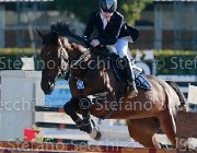 Sciacca Webster Giovanili2013  S5 5274 : Arezzo Equestrian Centre, Sciacca Lorenzo, Webster, foto di Stefano Secchi ©. Campionati Italiani Giovanili 2013