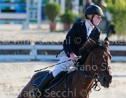 Sciacca Webster Giovanili2013  S5 5275 : Arezzo Equestrian Centre, Sciacca Lorenzo, Webster, foto di Stefano Secchi ©. Campionati Italiani Giovanili 2013