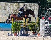 Sciacca Webster Giovanili2013  S5 5512 : Arezzo Equestrian Centre, Sciacca Lorenzo, Webster, foto di Stefano Secchi ©. Campionati Italiani Giovanili 2013