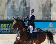 Sciacca Webster Giovanili2013  S5 5513 : Arezzo Equestrian Centre, Sciacca Lorenzo, Webster, foto di Stefano Secchi ©. Campionati Italiani Giovanili 2013