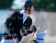Soleri Bonfire Giovanili2013  S5 5421 : Arezzo Equestrian Centre, Bonfire, Soleri Matteo, foto di Stefano Secchi ©. Campionati Italiani Giovanili 2013