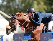 Tiberi Cerantus Giovanili2013  S5 4564 : Arezzo Equestrian Centre, Cerantus, Tiberi Guglielmo, foto di Stefano Secchi ©. Campionati Italiani Giovanili 2013