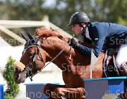Tiberi Cerantus Giovanili2013  S5 4565 : Arezzo Equestrian Centre, Cerantus, Tiberi Guglielmo, foto di Stefano Secchi ©. Campionati Italiani Giovanili 2013