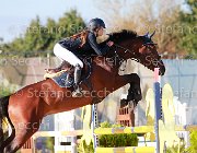 Vacirca Cappuchino Giovanili2013  S5 5363 : Arezzo Equestrian Centre, Cappuchino, Vacirca Elisabetta, foto di Stefano Secchi ©. Campionati Italiani Giovanili 2013