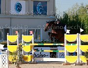 Vacirca Cappuchino Giovanili2013  S5 5367 : Arezzo Equestrian Centre, Cappuchino, Vacirca Elisabetta, foto di Stefano Secchi ©. Campionati Italiani Giovanili 2013