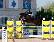 Vacirca Cappuchino Giovanili2013  S5 5369 : Arezzo Equestrian Centre, Cappuchino, Vacirca Elisabetta, foto di Stefano Secchi ©. Campionati Italiani Giovanili 2013