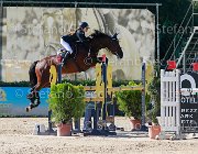 Vacirca Cappuchino Giovanili2013  S5 5622 : Arezzo Equestrian Centre, Cappuchino, Vacirca Elisabetta, foto di Stefano Secchi ©. Campionati Italiani Giovanili 2013