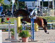 Viglioli Wembley Giovanili2013  S5 5285 : Arezzo Equestrian Centre, Viglioli Laura, Wembley, foto di Stefano Secchi ©. Campionati Italiani Giovanili 2013