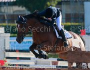 Viglioli Wembley Giovanili2013  S5 5288 : Arezzo Equestrian Centre, Viglioli Laura, Wembley, foto di Stefano Secchi ©. Campionati Italiani Giovanili 2013