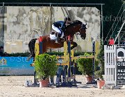 Viglioli Wembley Giovanili2013  S5 5517 : Arezzo Equestrian Centre, Viglioli Laura, Wembley, foto di Stefano Secchi ©. Campionati Italiani Giovanili 2013