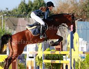 Vincenzi Brooklynn Giovanili2013  S5 5385 : Arezzo Equestrian Centre, Brooklynn, Vincenzi Chiara, foto di Stefano Secchi ©. Campionati Italiani Giovanili 2013