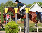 Vincenzi Brooklynn Giovanili2013  S5 5390 : Arezzo Equestrian Centre, Brooklynn, Vincenzi Chiara, foto di Stefano Secchi ©. Campionati Italiani Giovanili 2013