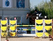 Vincenzi Brooklynn Giovanili2013  S5 5391 : Arezzo Equestrian Centre, Brooklynn, Vincenzi Chiara, foto di Stefano Secchi ©. Campionati Italiani Giovanili 2013