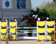 Vincenzi Brooklynn Giovanili2013  S5 5392 : Arezzo Equestrian Centre, Brooklynn, Vincenzi Chiara, foto di Stefano Secchi ©. Campionati Italiani Giovanili 2013