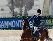 Vincenzi Brooklynn Giovanili2013  S5 5648 : Arezzo Equestrian Centre, Brooklynn, Vincenzi Chiara, foto di Stefano Secchi ©. Campionati Italiani Giovanili 2013