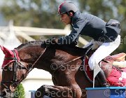 Zajotti Carita Giovanili2013  S5 4554 : Arezzo Equestrian Centre, Carita, Zajotti Francesco, foto di Stefano Secchi ©. Campionati Italiani Giovanili 2013