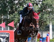 Zajotti Carita Giovanili2013  S5 4555 : Arezzo Equestrian Centre, Carita, Zajotti Francesco, foto di Stefano Secchi ©. Campionati Italiani Giovanili 2013