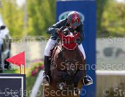Zajotti Carita Giovanili2013  S5 4557 : Arezzo Equestrian Centre, Carita, Zajotti Francesco, foto di Stefano Secchi ©. Campionati Italiani Giovanili 2013
