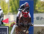 Zajotti Carita Giovanili2013  S5 4558 : Arezzo Equestrian Centre, Carita, Zajotti Francesco, foto di Stefano Secchi ©. Campionati Italiani Giovanili 2013