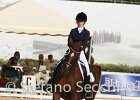 Gianesini_Aristotilas_CampItaAr_2012_SS4_1113.JPG : ARISTOTILAS, Campionati Italiani Dressage 2012, GIANESINI CHIARA, foto di Stefano Secchi ©