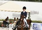 Gianesini_Aristotilas_CampItaAr_2012_SS4_1114.JPG : ARISTOTILAS, Campionati Italiani Dressage 2012, GIANESINI CHIARA, foto di Stefano Secchi ©