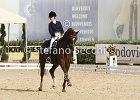 Gianesini_Aristotilas_CampItaAr_2012_SS4_1121.JPG : ARISTOTILAS, Campionati Italiani Dressage 2012, GIANESINI CHIARA, foto di Stefano Secchi ©