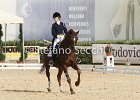 Gianesini_Aristotilas_CampItaAr_2012_SS4_1123.JPG : ARISTOTILAS, Campionati Italiani Dressage 2012, GIANESINI CHIARA, foto di Stefano Secchi ©