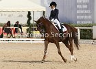 Gianesini_Aristotilas_CampItaAr_2012_SS4_1124.JPG : ARISTOTILAS, Campionati Italiani Dressage 2012, GIANESINI CHIARA, foto di Stefano Secchi ©